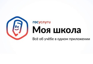 С 1 сентября школы и колледжи Брянской области начинают работу на единой государственной платформе ТОР «Моя школа».